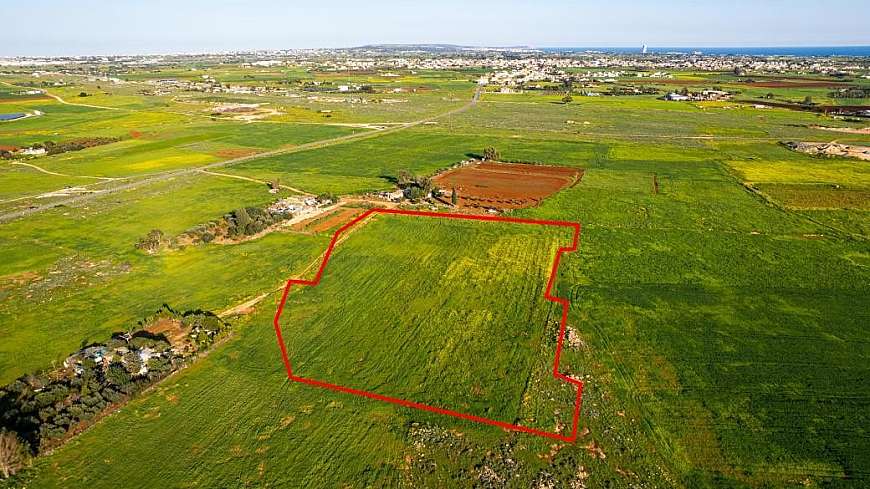 Shared agricultural field in Avgorou, Famagusta