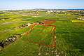 Shared agricultural field in Avgorou, Famagusta
